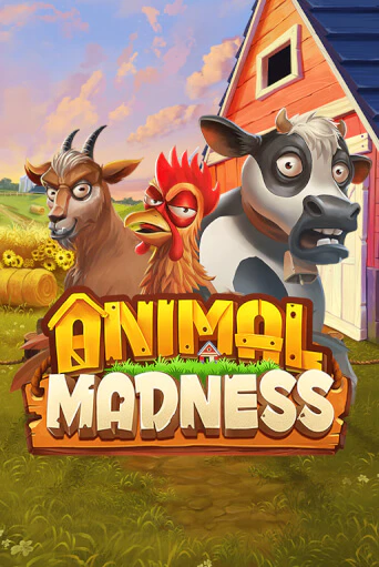Animal Madness игра онлайн | Casino 888 бесплатно и без регистрации