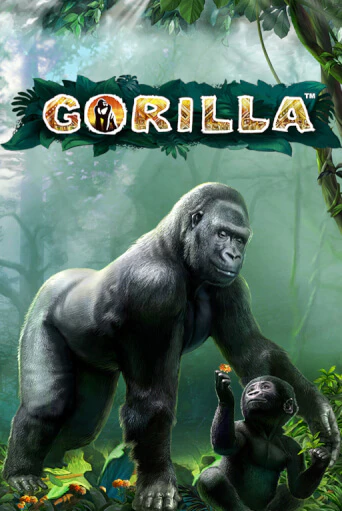 Gorilla игра онлайн | Casino 888 бесплатно и без регистрации