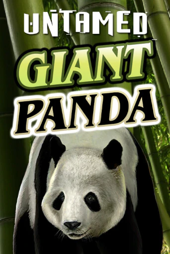 Untamed - Giant Panda игра онлайн | Casino 888 бесплатно и без регистрации